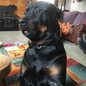 Meet your Posher, Billie